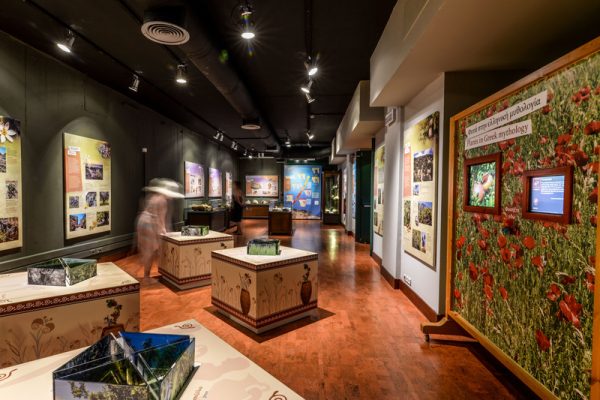 Natural-History-Museum-of-Heraklion[1]